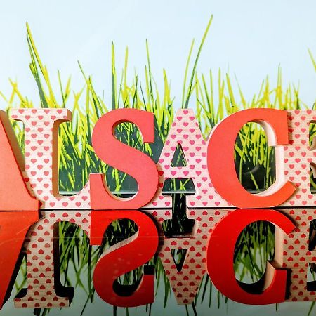 Citycosy-Strasbourg: Boston Espla المظهر الخارجي الصورة