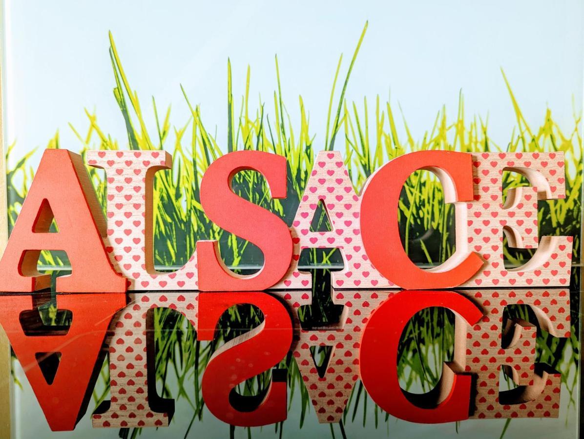 Citycosy-Strasbourg: Boston Espla المظهر الخارجي الصورة